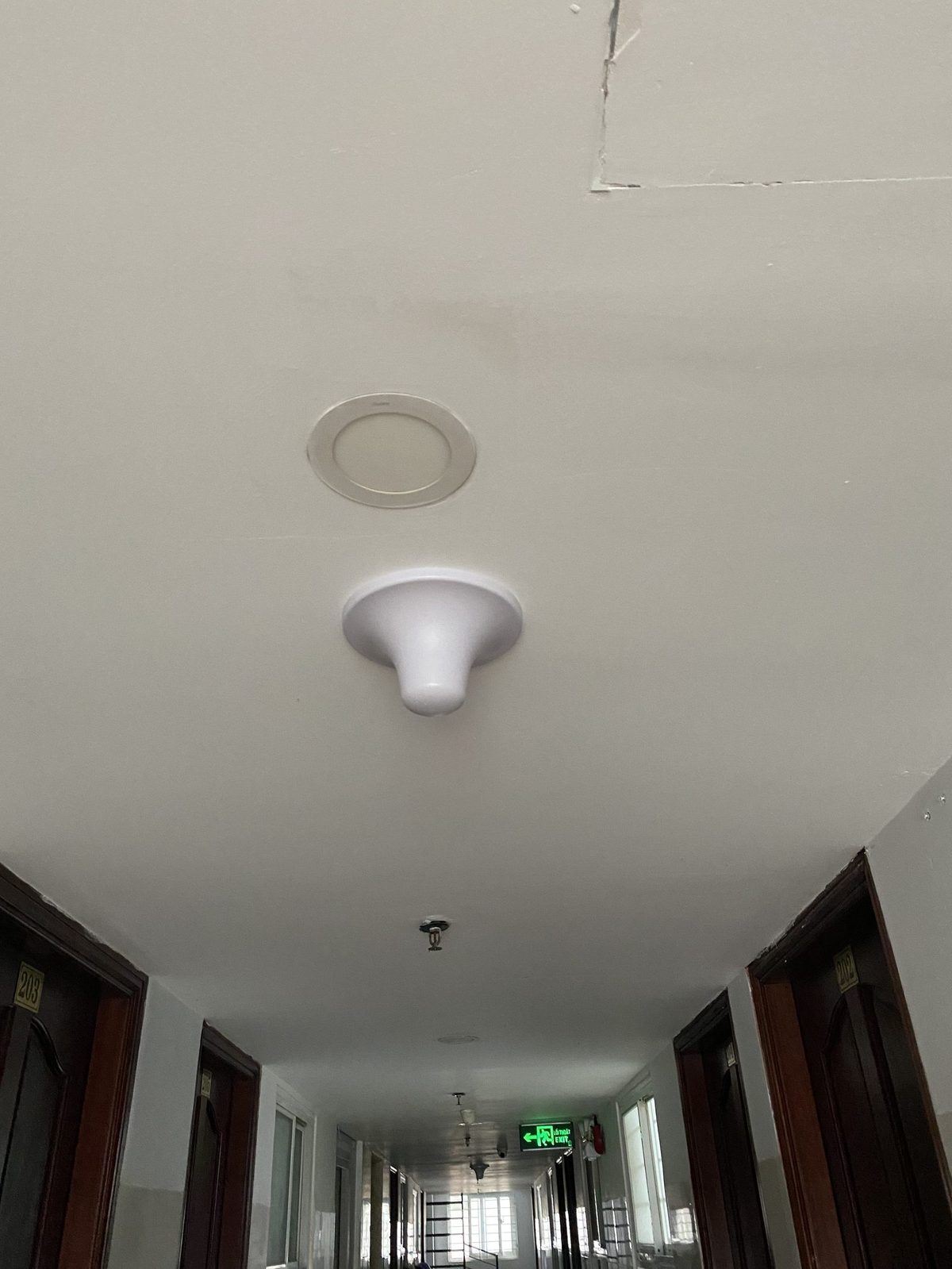 Anten omni lắp trần hành lang chung cư - Phủ sóng toàn tầng